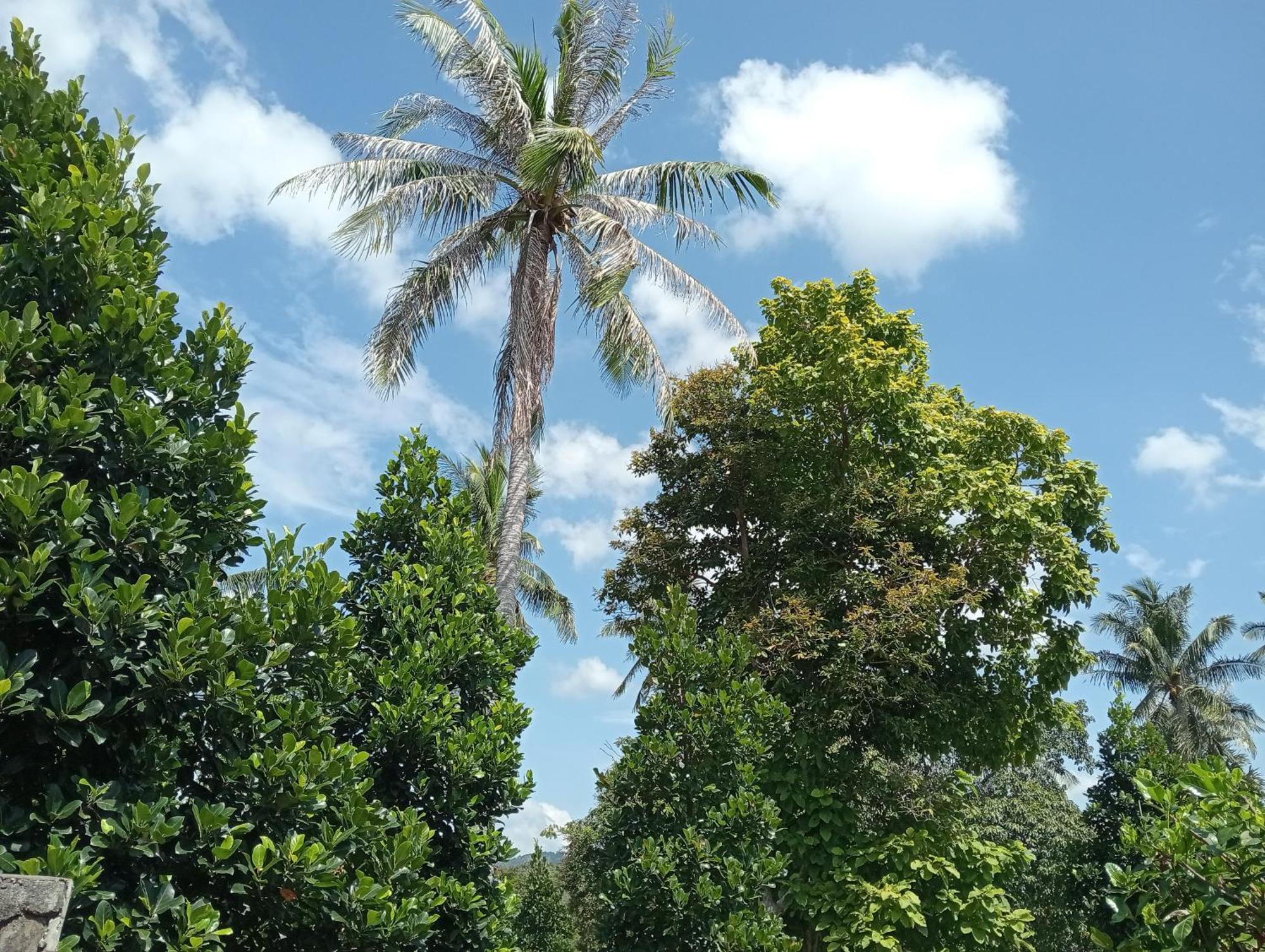 Lanta Beautiful Beach House Ko Lanta エクステリア 写真